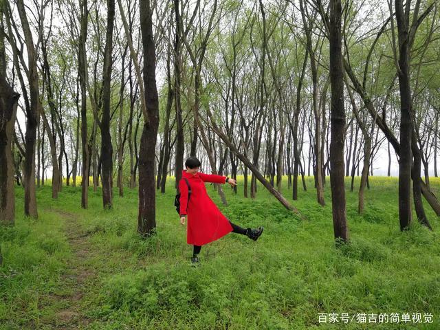 不懂拍照怎么拍好看_拍照显高脸小技巧