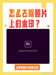怎么用ps修图_修图裁剪构图技巧，调色去瑕全攻略