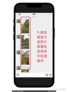 苹果17微信拍照就保存到相册_苹果17微信拍照直存相册，方便但存空间大