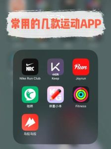 分享运动摄影多的软件_运动相机Garmin VIRB，iDCCam应用，工拍拍水印相机，HoverX1飞行器，gsfit智能手表