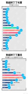 前列腺正常大小参数_前列腺大小因人而异，PSA检测指诊和超声可评估