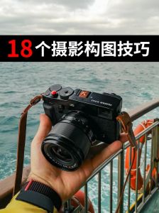 摄影拍照的构图怎么去理解_用镜头讲故事，掌握基础法则拍出高级感照片