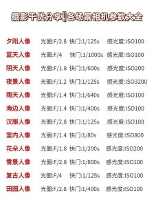 正常拍摄相机的参数_搞懂光圈快门ISO，轻松拍出好照片