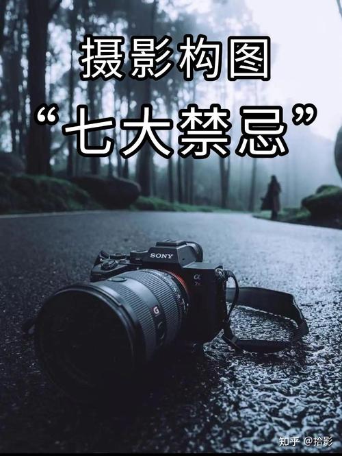 对摄影构图的理解_安排画面，突出主题