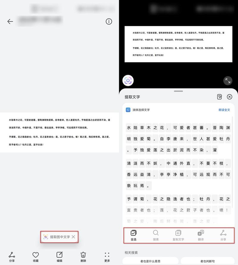 如何拍照转换成文字_微信拍照识别，WPS文字提取方便高效