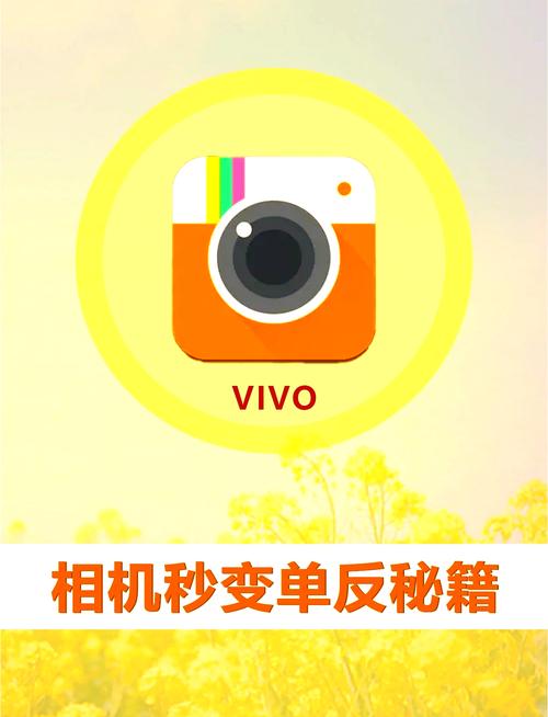 vivo相机怎么设置拍照效果好_vivo相机新手易上手，构图对焦有技巧