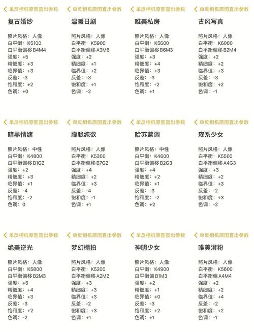 单反晚上室内拍照参数_单反夜拍小技巧，拍出明亮清晰夜景