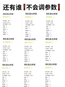美颜相机他拍模式怎么设置照片尺寸_美颜相机选择照片尺寸比例，人像风景不同拍法