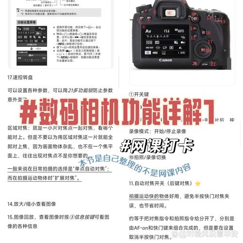 数码摄影机的使用方法_数码相机拍照技巧，轻松拍出好照片