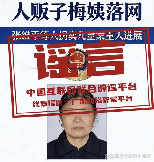 梅姨真实照片对比_梅姨证件照曝光，与模拟画像差异大！