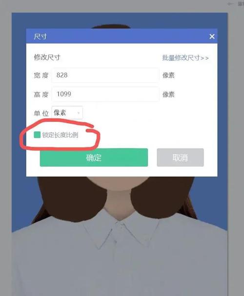 修改照片像素及尺寸_照片像素尺寸调整技巧
