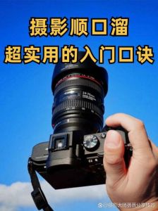 怎么快速学会拍照_掌握PAT档，勤练构图曝光，快速入门