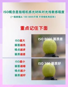 室内拍照iso一般设置多少_光线暗就加，用好三脚架更清晰