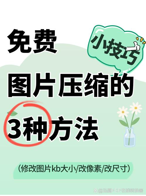 如何用画图调整照片大小kb_Windows画图轻松调照片大小和KB值