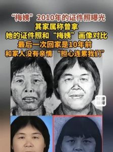 梅姨真实照片对比_梅姨证件照曝光，与模拟画像差异大！