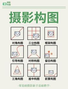 摄影构图基础知识_掌握九宫格构图，拍出引人入胜的照片