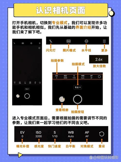 vivo相机怎么设置拍照效果好_vivo相机新手易上手，构图对焦有技巧