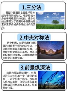 摄影构图样式有什么和特点_交叉线椭圆X形对称与平衡