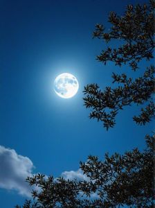 夜晚拍月亮的参数_曝光对焦小技巧
