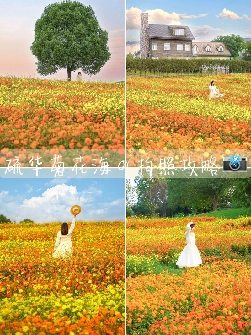 百合花拍照穿什么衣服好看呢_穿浅色衣配花显清新，深色衣配花显高级，拍照互动增趣味