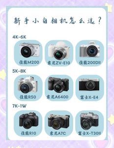 新手拍照选哪款相机_佳能800D旅行机，900D进阶之选，尼康D750均衡入门