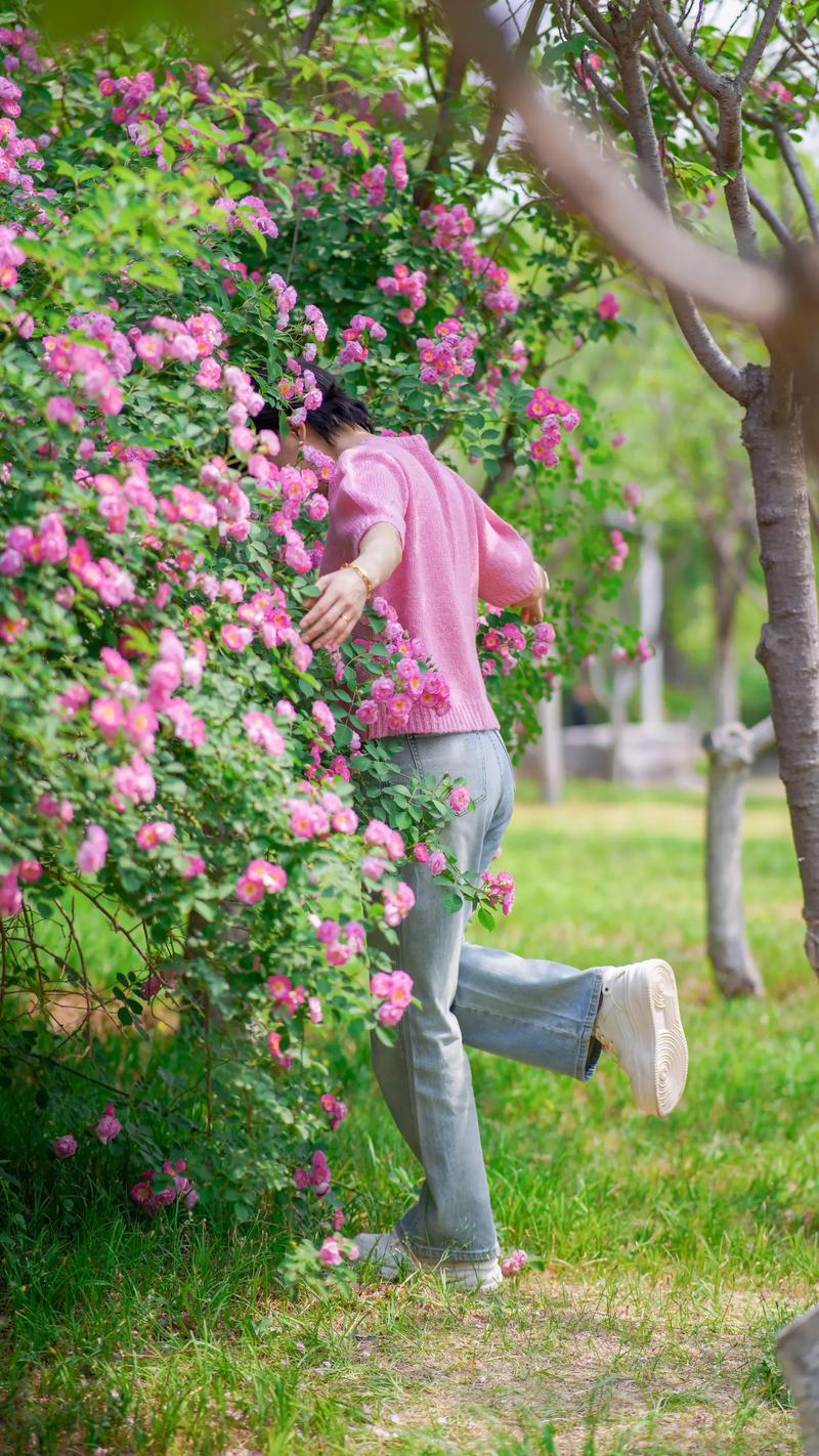 花和人拍照技巧_花丛中近距离合，远景眺望显浪漫