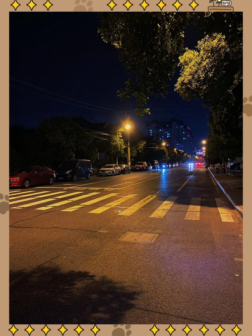 夜间怎么拍照清晰_稳准避光调参数