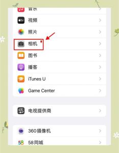 苹果平板相机拍照怎么转916_苹果平板169比例拍摄，拍出电影感风景