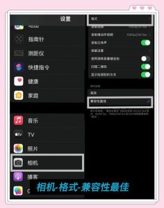 苹果拍照最佳参数设置_创意控制+网格线，拍出艺术感照片