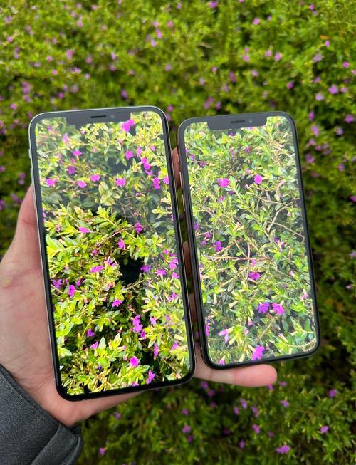 苹果xs拍照调节参数_iPhone手动调参拍出好照片