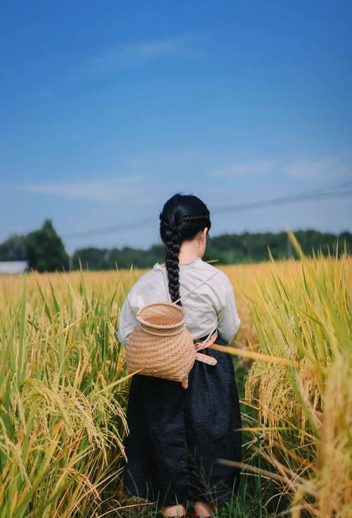 稻田里怎么拍照好看_浅色衣+道具,清晨傍晚光线好 稻田里怎么拍照好看_浅色衣+道具,清晨傍晚光线好