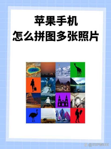 怎么把多张照片拼图_选好照片巧用工具，注意格式尺寸