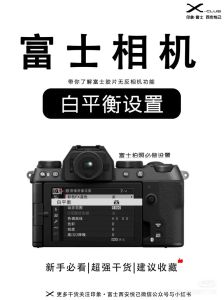 阴天相机白平衡设置多少_阴天拍照色温怎么调？光线柔和好出片