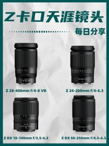 尼康照片参数_尼康相机参数详解，拍鸟防失误