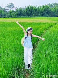 稻田里怎么拍照好看_浅色衣+道具，清晨傍晚光线好