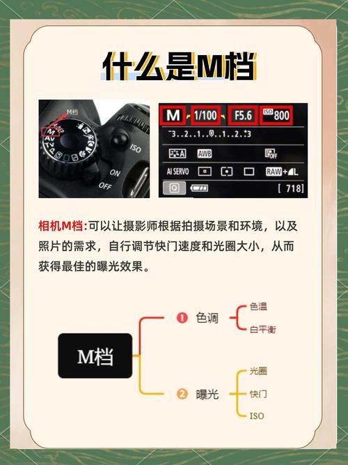 怎么自己拍m下面的照片_穿搭背景角度镜头全攻略