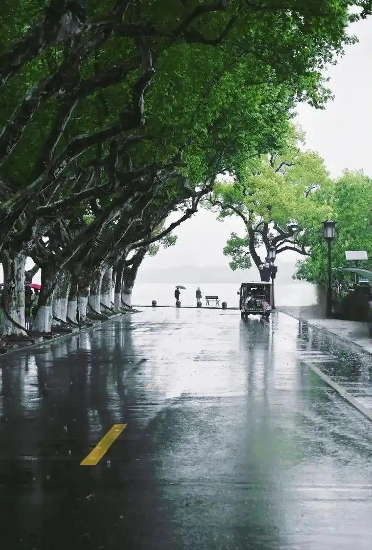 雨天拍摄风景参数_捕捉光影变幻，拍出诗意雨中情