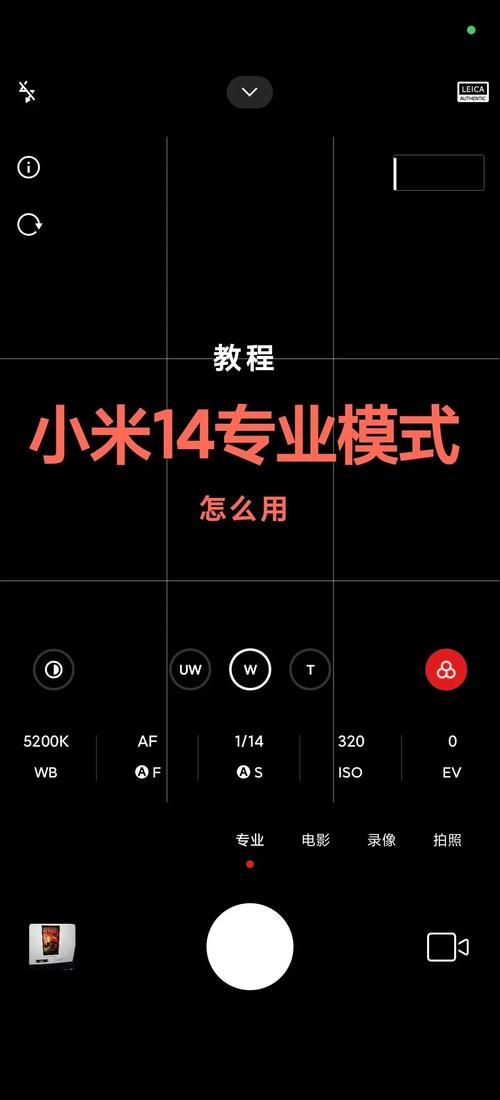 拍照专业模式怎么调_玩转拍照，参数全解析