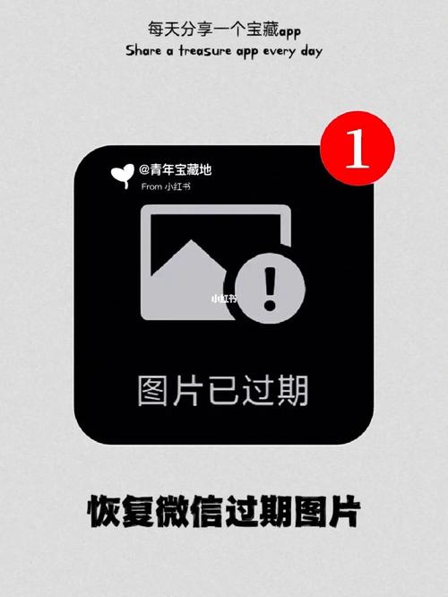 帮我恢复一张照片_误删照片？回收站历史记录数据恢复软件全攻略！