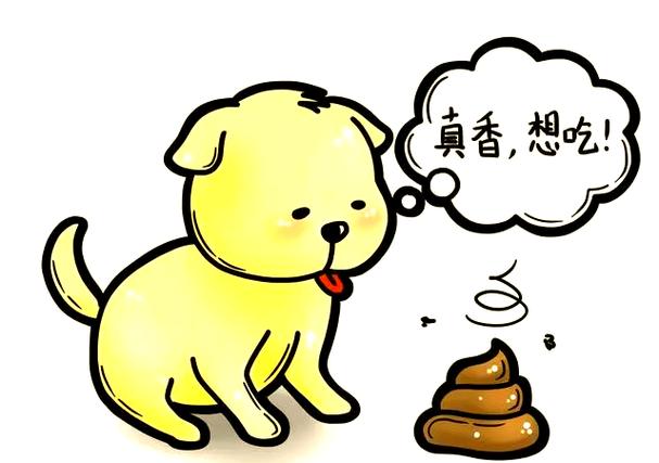 狗改不了的讽刺图片_狗改不了屎，讽刺本性难移