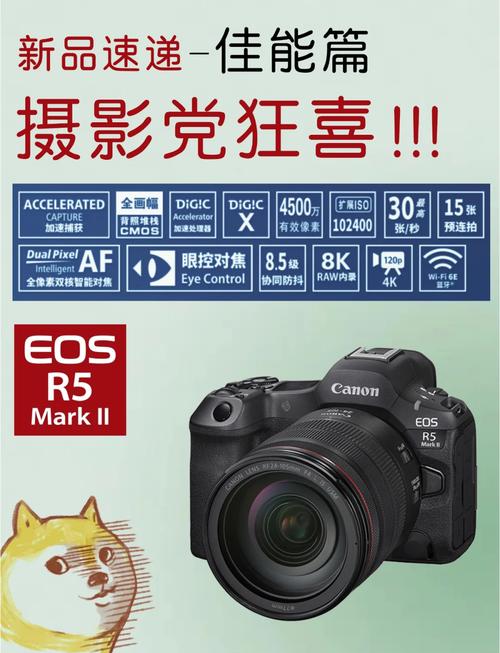 佳能单反夜晚拍照参数_拍出清晰有氛围的秘诀
