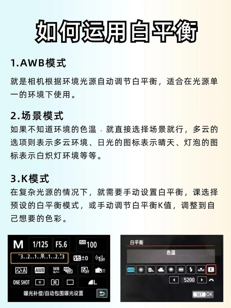 单反相机拍照太白了调哪里_单反照片偏白？屏幕曝光调整妙招