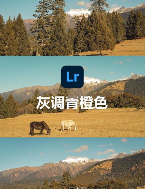 lr从导入照片怎么切换到调色_自动调色HSL精准修与故障解决