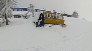 下雪拍雪花相机参数_曝光调高选冷白，快门快光圈小，侧逆光效果佳！