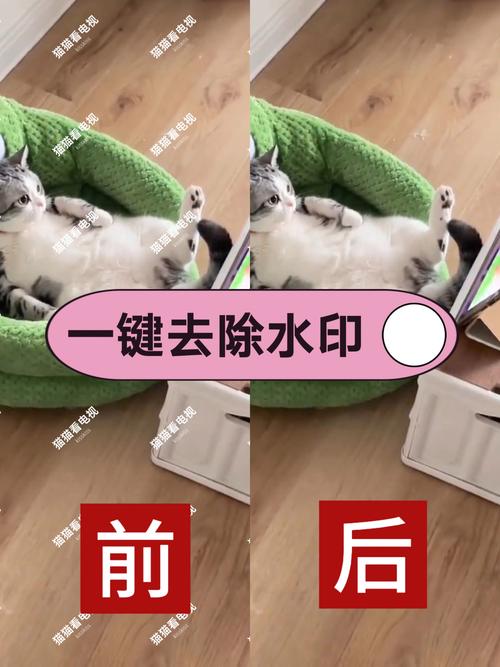 华为拍照照片水印怎么去掉_简单几步操作