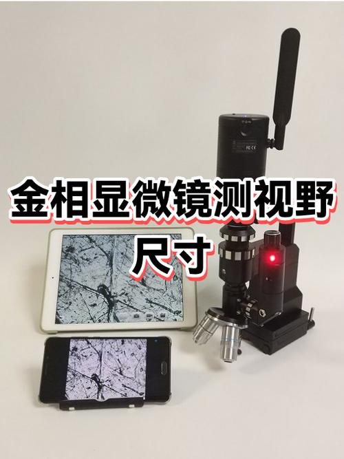 手动给显微镜照片加标尺的方法_偏光荧光镜图像标尺添加方法
