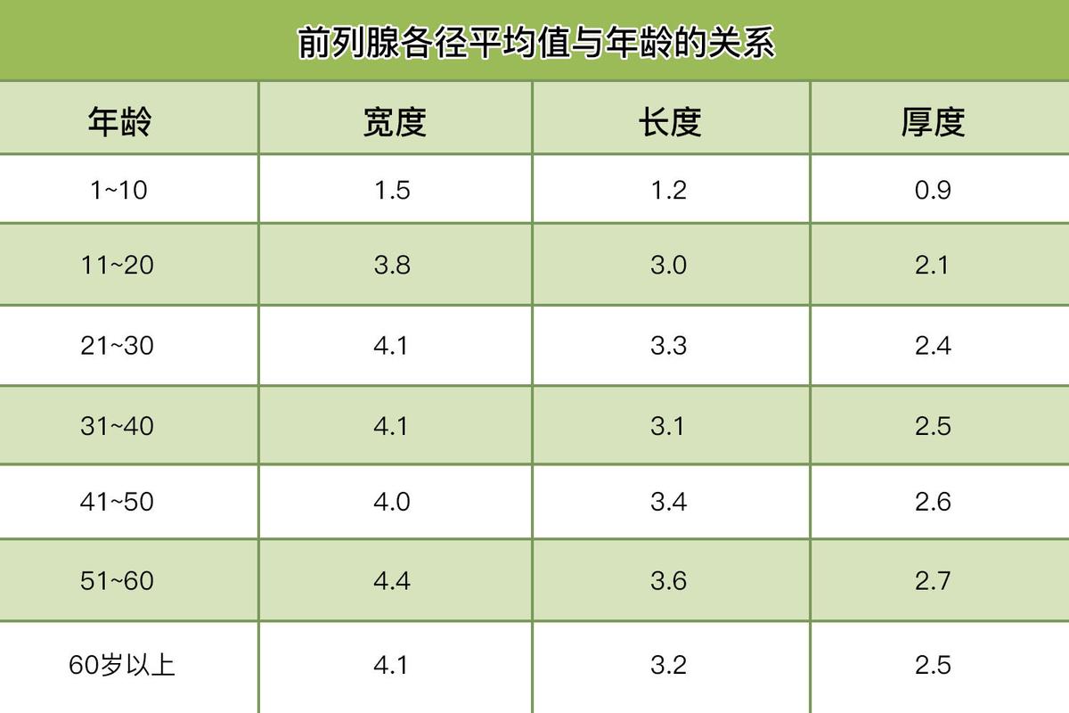 前列腺大小参数_前列腺大小正常范围及检查注意事项
