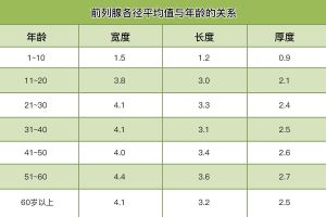 前列腺大小参数_前列腺大小正常范围及检查注意事项