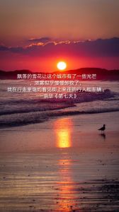 主题摄影配文是什么_春天拍照发朋友圈配文，古诗词+俏皮话！