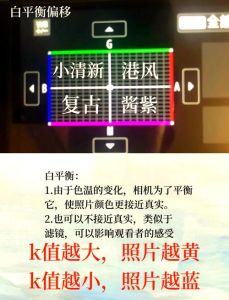 单反相机拍照太白了调哪里_单反照片偏白？屏幕曝光调整妙招